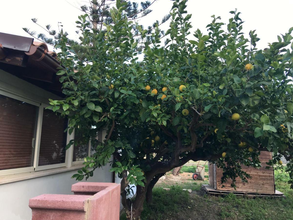Holiday home Dei Limoni Sul Mare Castellammare del Golfo