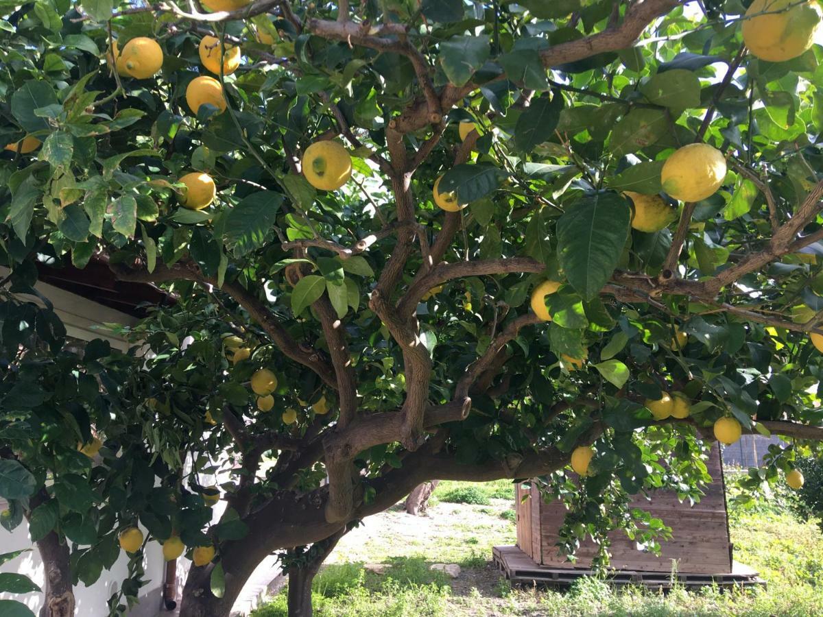 Holiday home Dei Limoni Sul Mare
